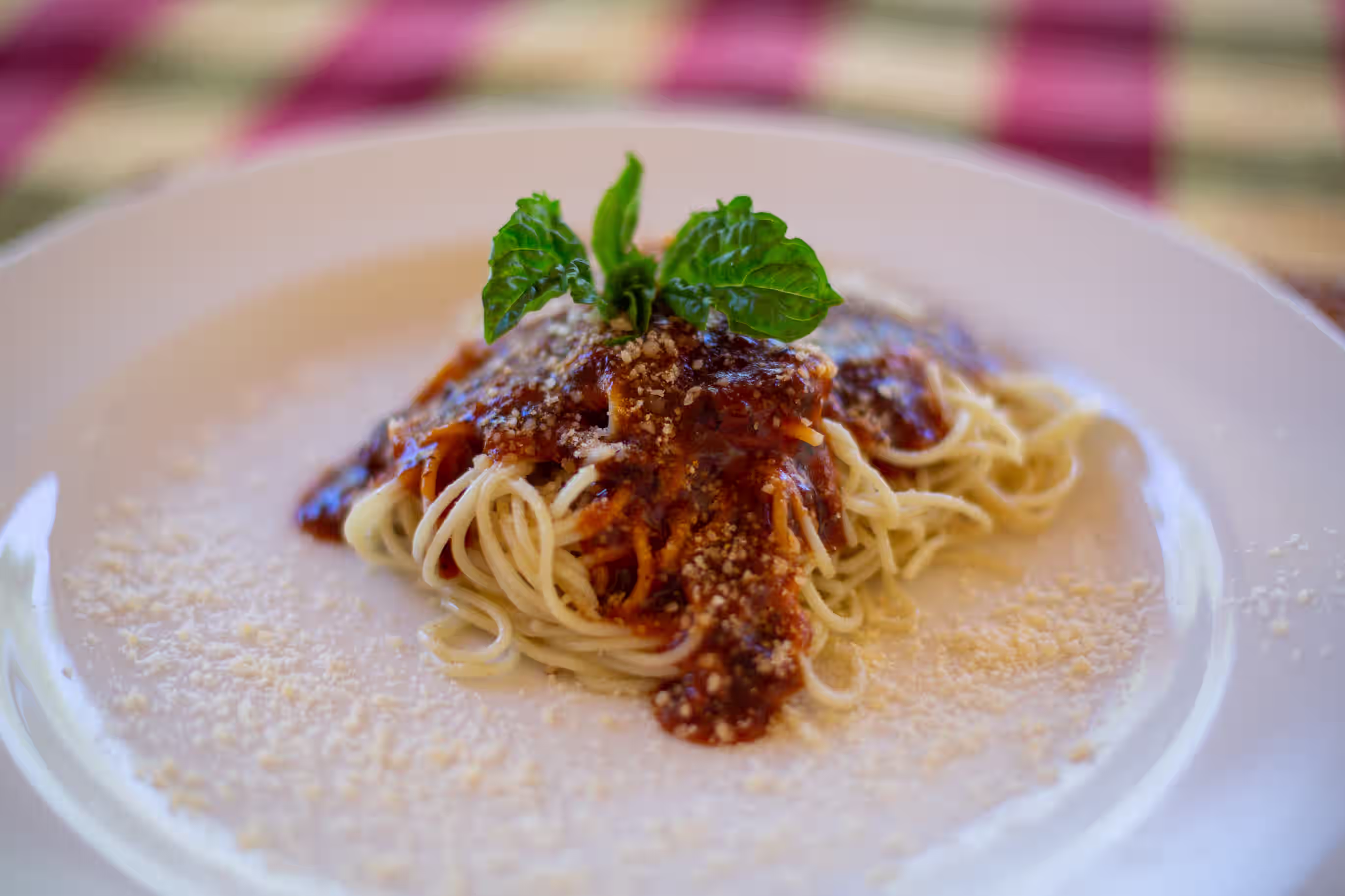 Close-up pasta dish